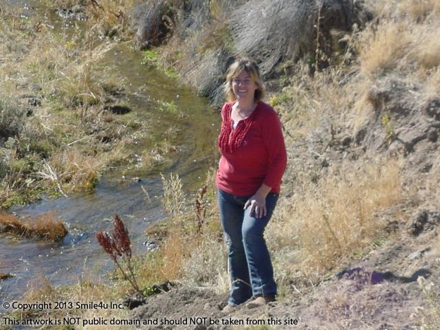 Char beside Jackstone Creek that flows through Meadow Valley Ranchos Unit 2 in Elko County, Nevada right next to this land for sale!